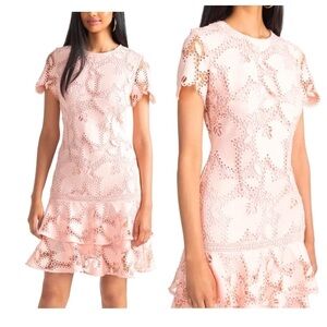 Shoshanna Lara Leaf Lace Cap Sleeve Mini Dress BNWT
